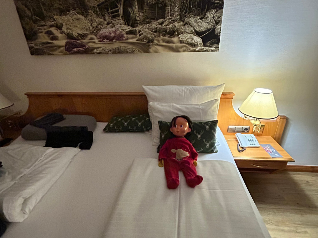 Hotel Sonnenhof Lam主图