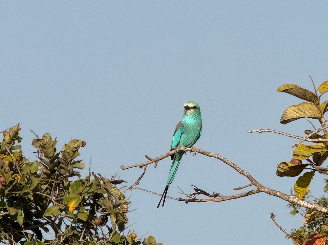 Casamance Vtt-Oussouye必去景点