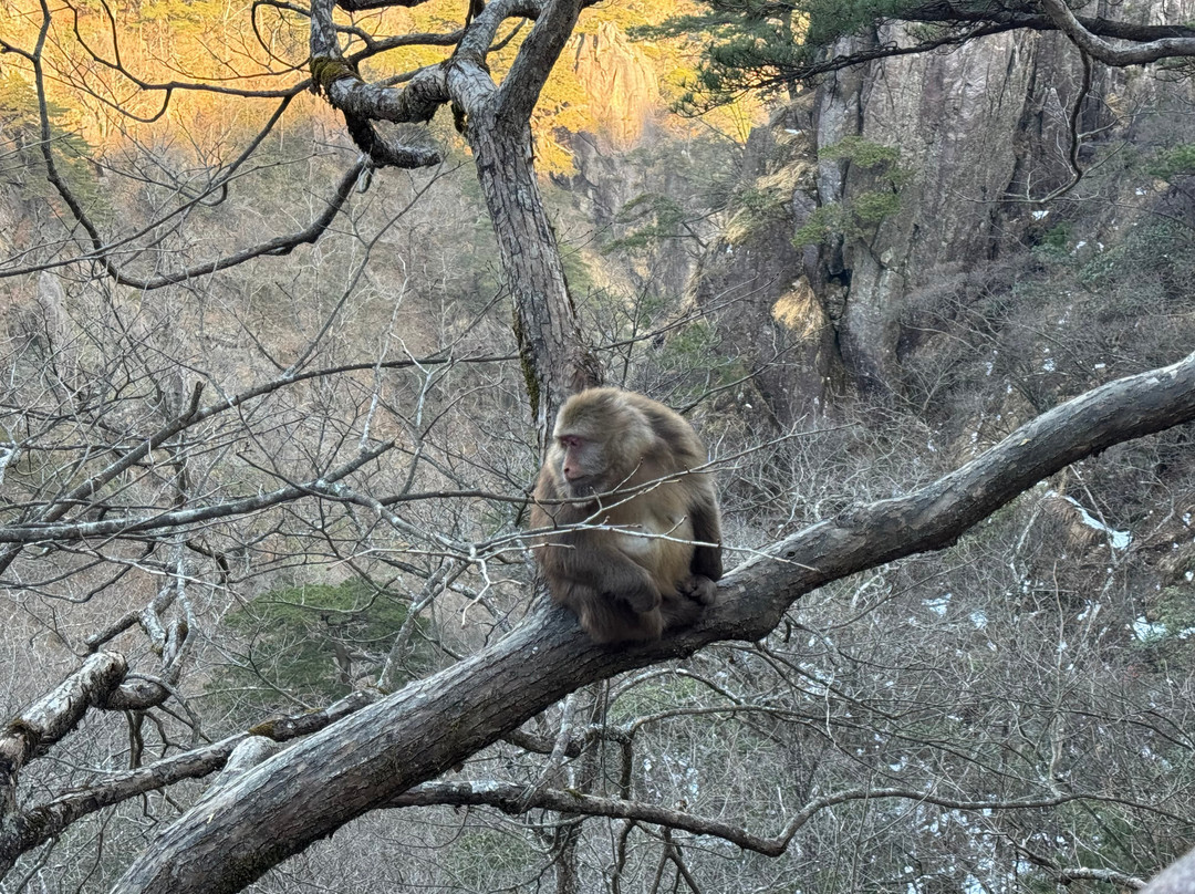 China Highlights-黄山市必去景点