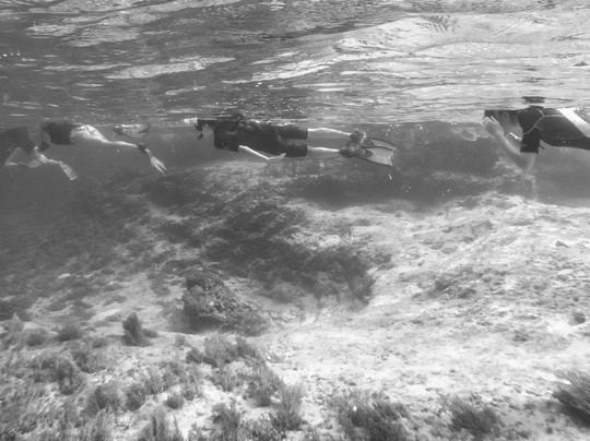 Bahamas Out Island Adventures-Gregory Town必去景点