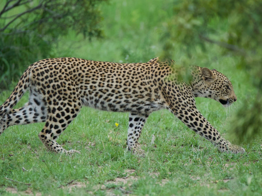 MoAfrika Tours-开普敦中心区必去景点