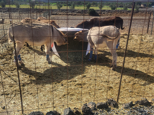 Verdeaurora Bio Farm-富特文图拉必去景点