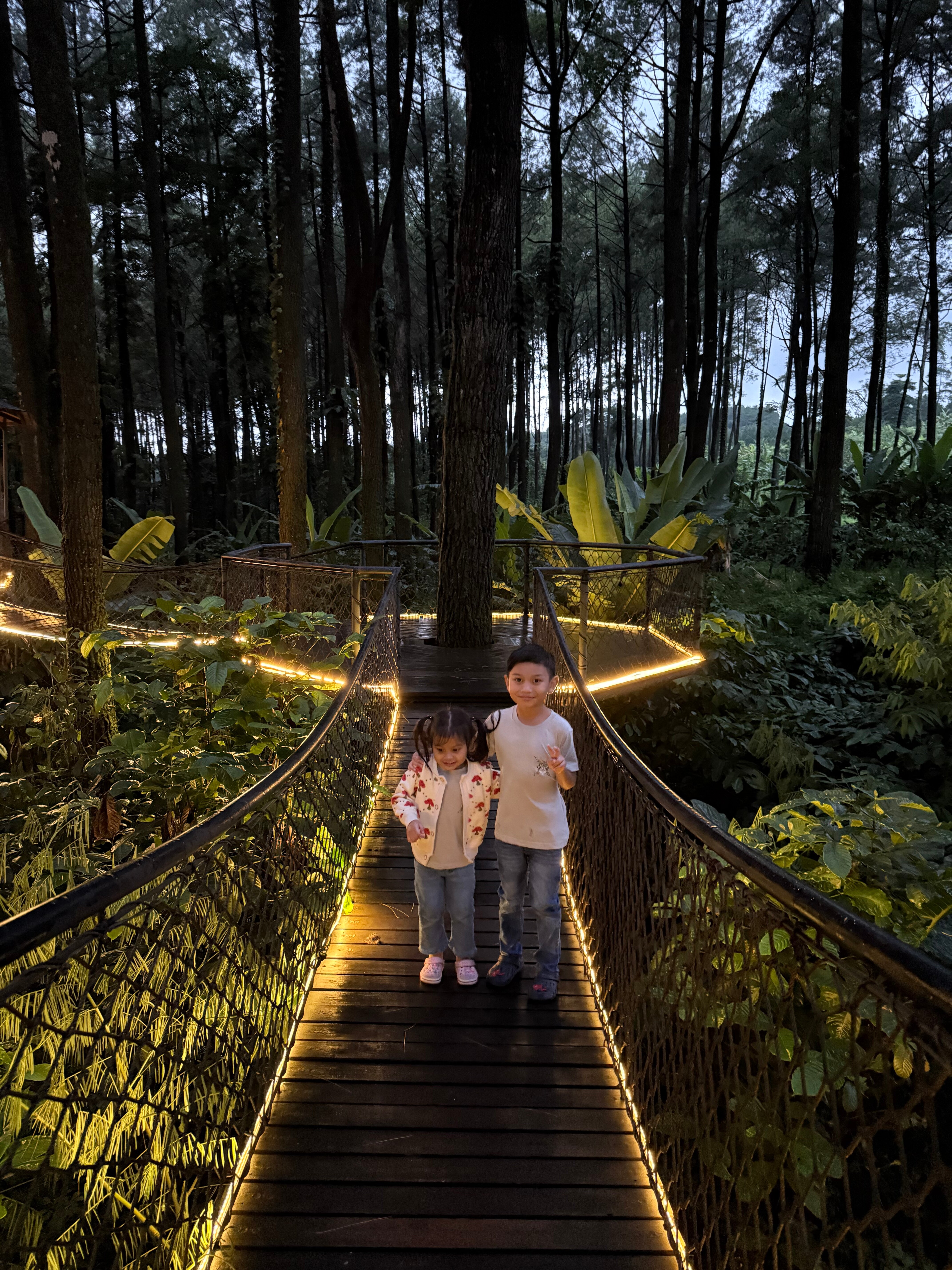 Baobab Safari Resort-官方