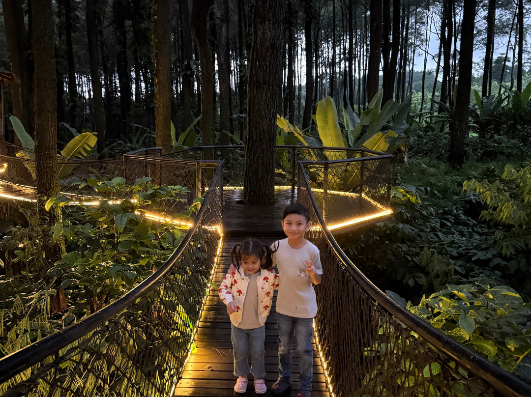 Baobab Safari Resort主图