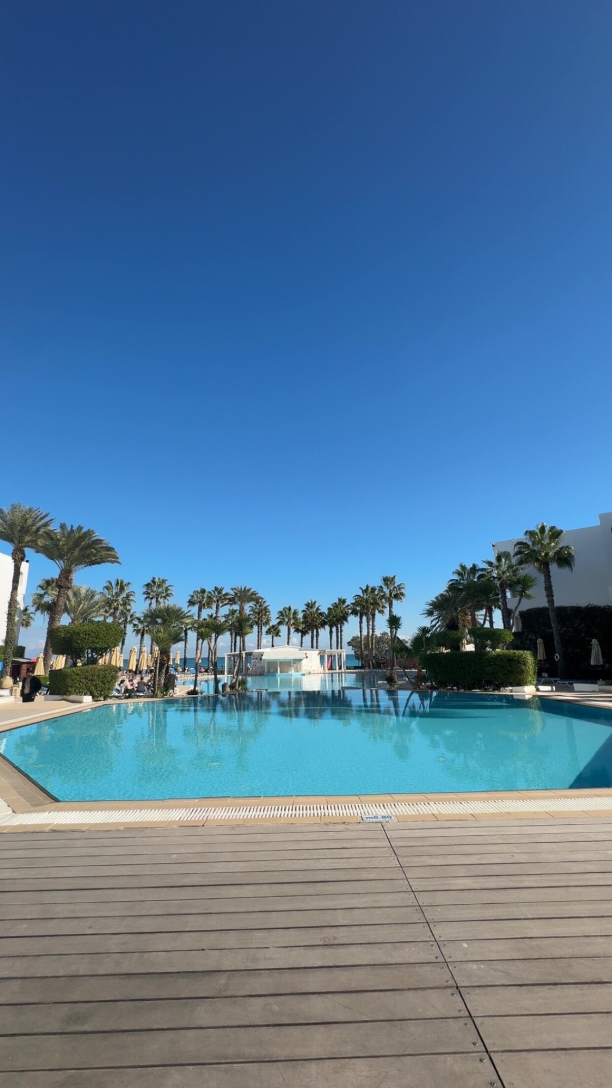 Thalassa Mahdia-官方