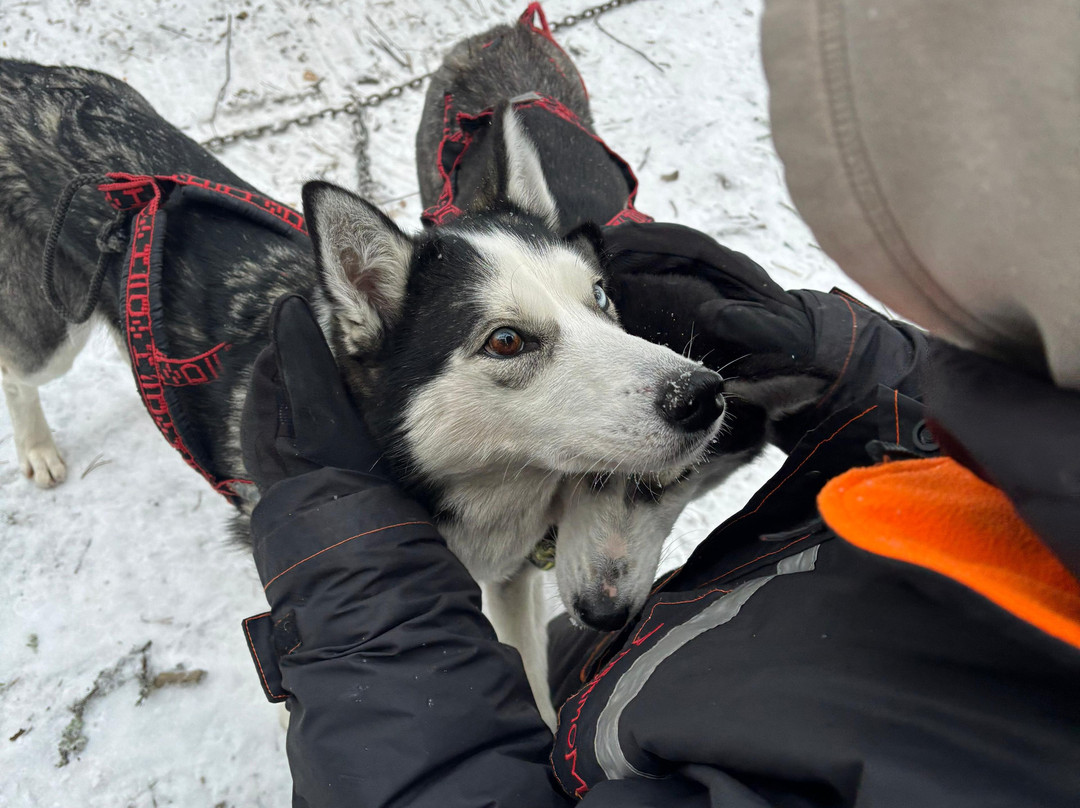 Arctic Expedition-埃斯波必去景点