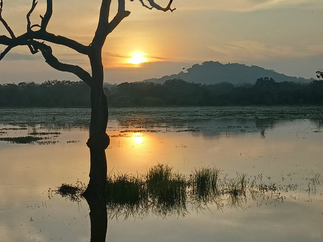 Thush Tours Sri Lanka-班托塔必去景点