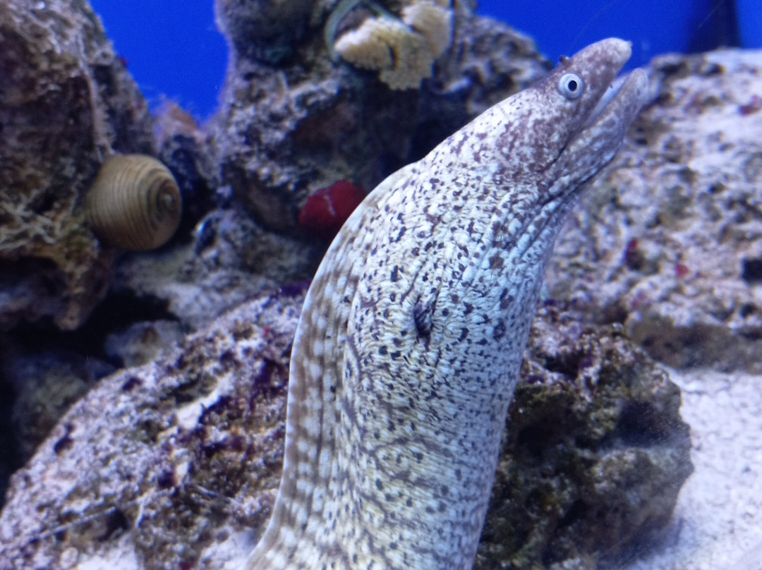 Acquario Del Salento-Santa Maria al Bagno必去景点