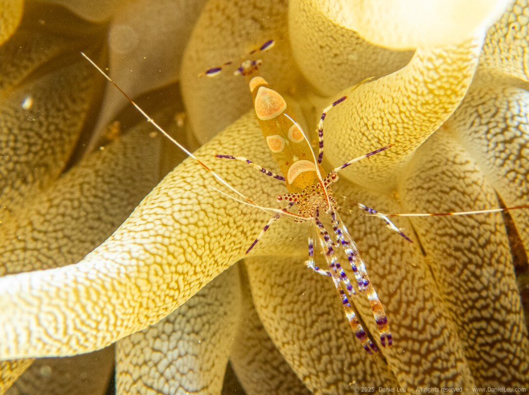 Letifish-Aventure-Pointe-Noire必去景点