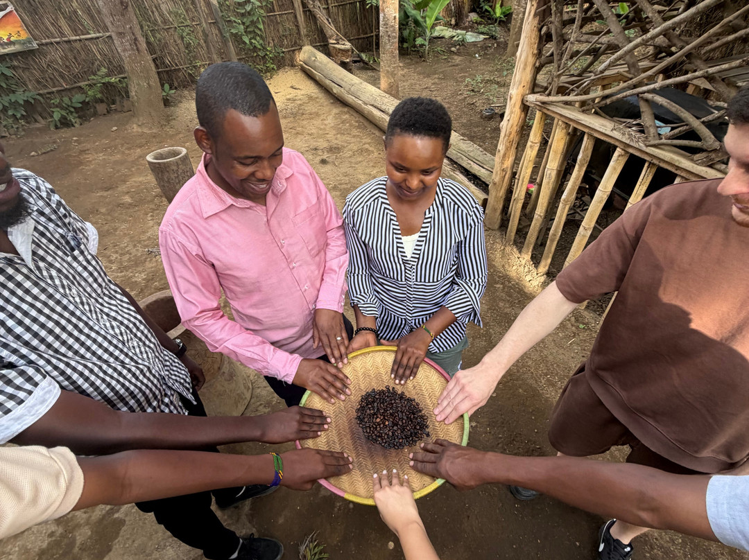 Mangalia Waterfalls-阿鲁沙必去景点