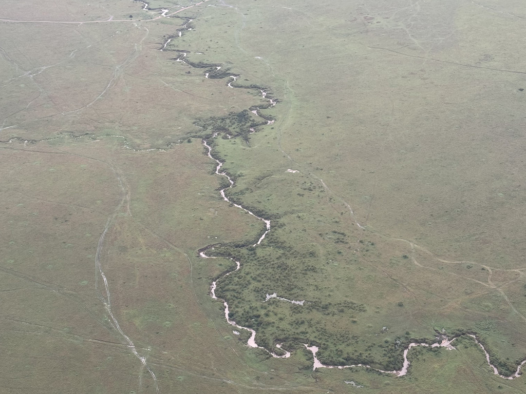 Hot Air Safaris-马赛马拉国家野生动物保护区必去景点