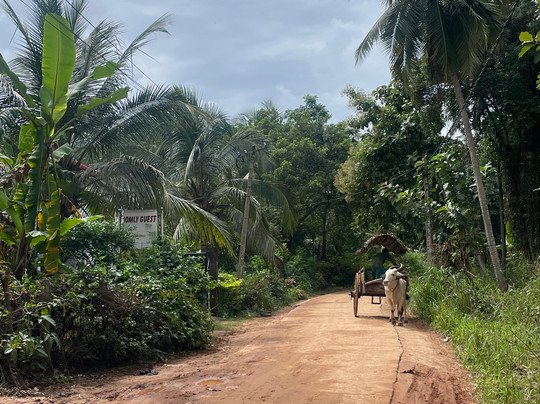 Sri Lanka With Kavi-锡吉里亚必去景点