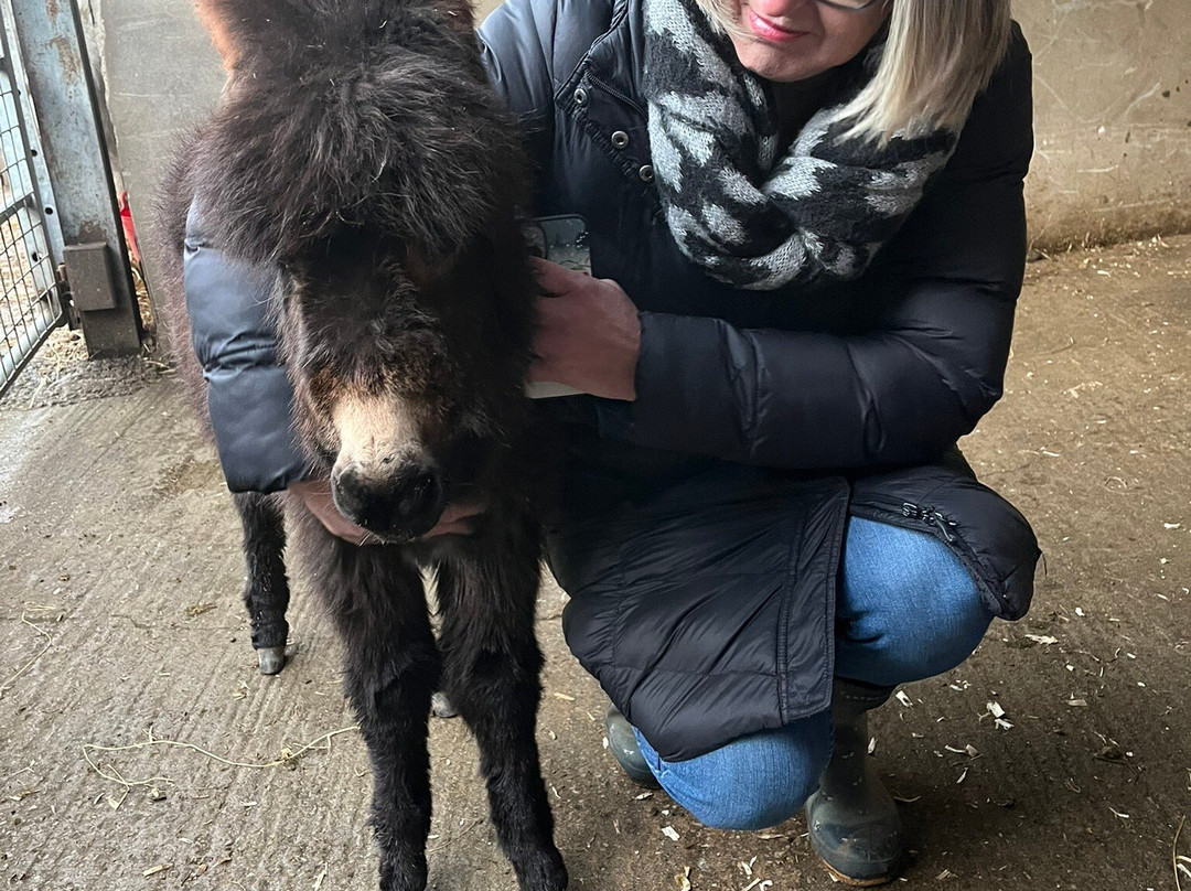 Greenlands Farm Village-Tewitfield必去景点