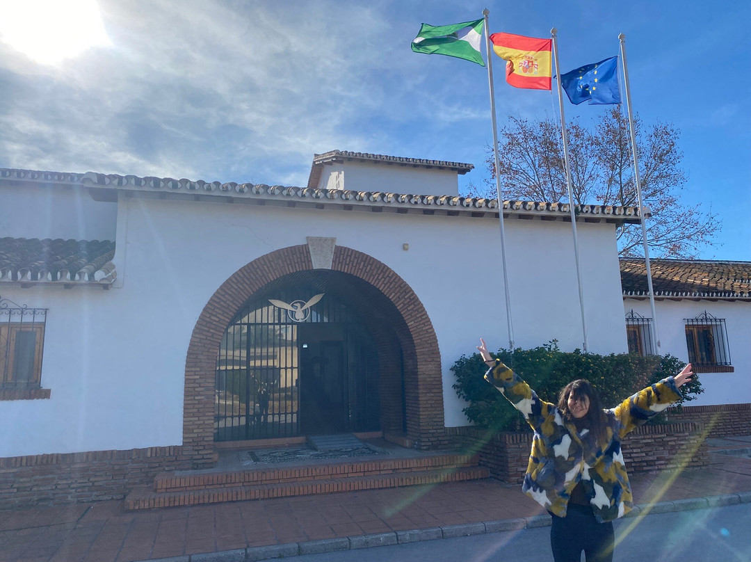 Museo Aeronáutico de Málaga-马拉加必去景点