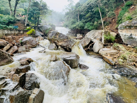 White Bridge House and Resort主图