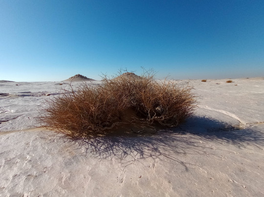 White Desert Safari-Bawiti必去景点