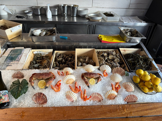 Coquille - Bistrot Marin