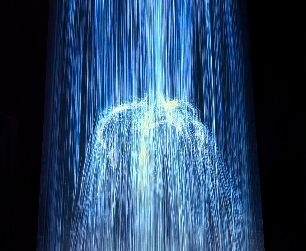 teamLab Planets TOKYO-Toyosu必去景点