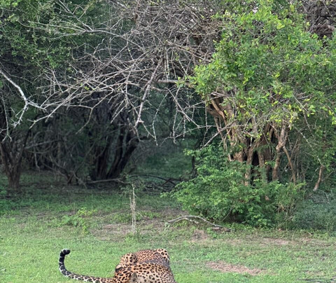 ASY Tours Sri Lanka-卡图纳耶克必去景点