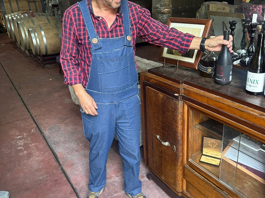 Prior Lucas Vinhos-科英布拉区必去景点