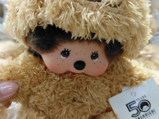 Sydney Souvenirs-Haymarket必去景点