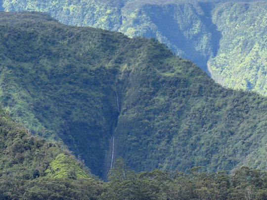 Aloha Sunshine Tours-火奴鲁鲁必去景点