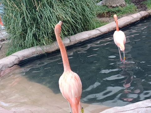 Acuario Michin Ciudad De Mexico-墨西哥城必去景点