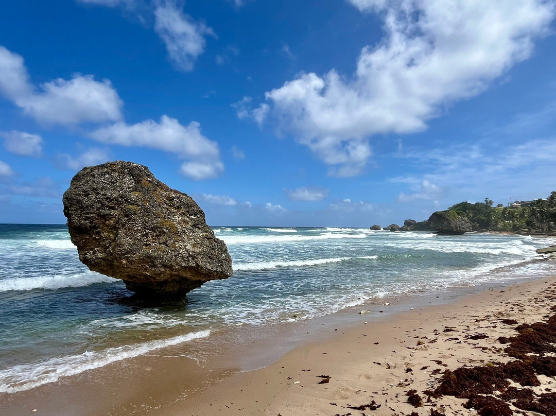 Bathsheba Beach-Bathsheba必去景点