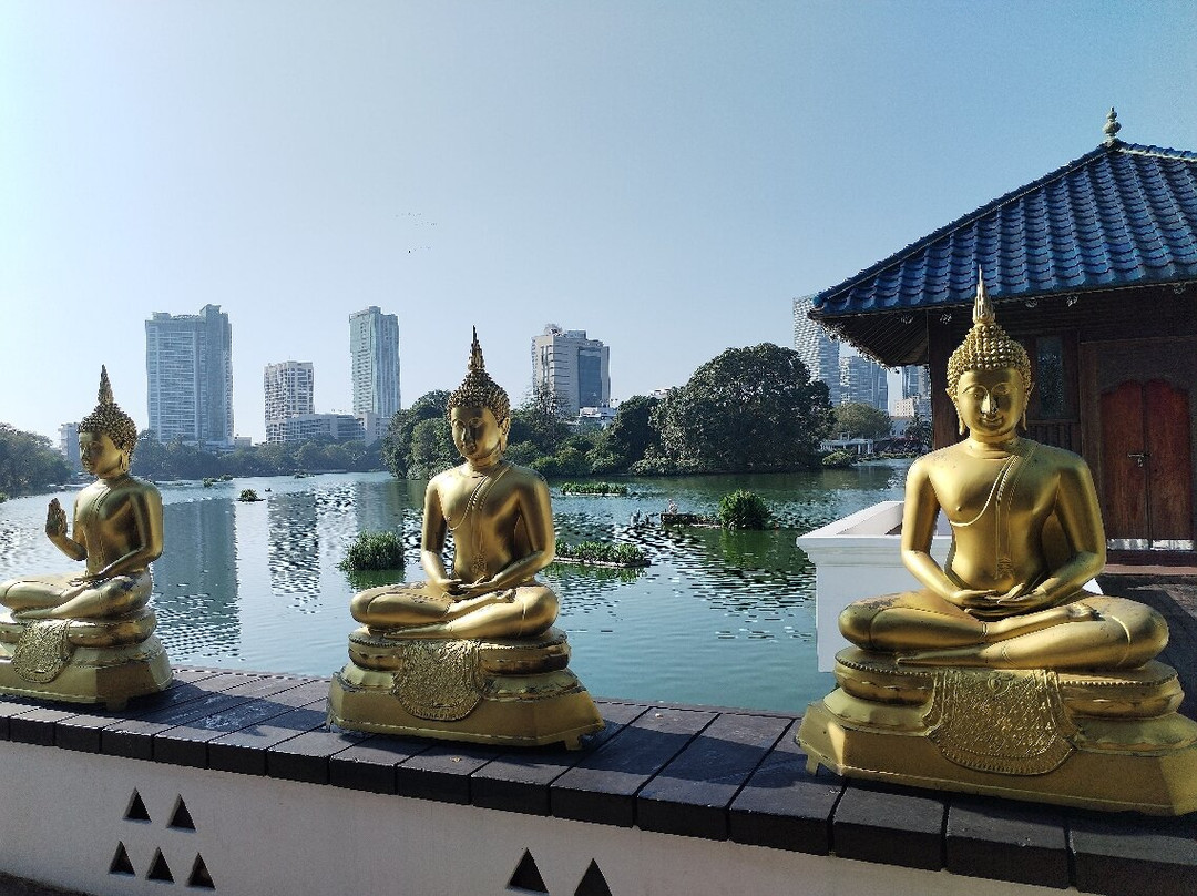 Sri Lankan Personal Drivers-科伦坡必去景点