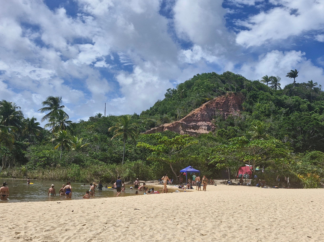Pitinga Beach-Arraial d'Ajuda必去景点
