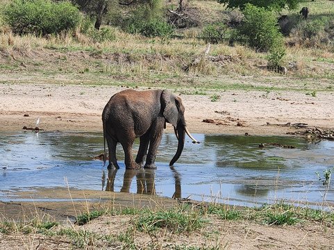 Fortes Africa-姆万扎必去景点