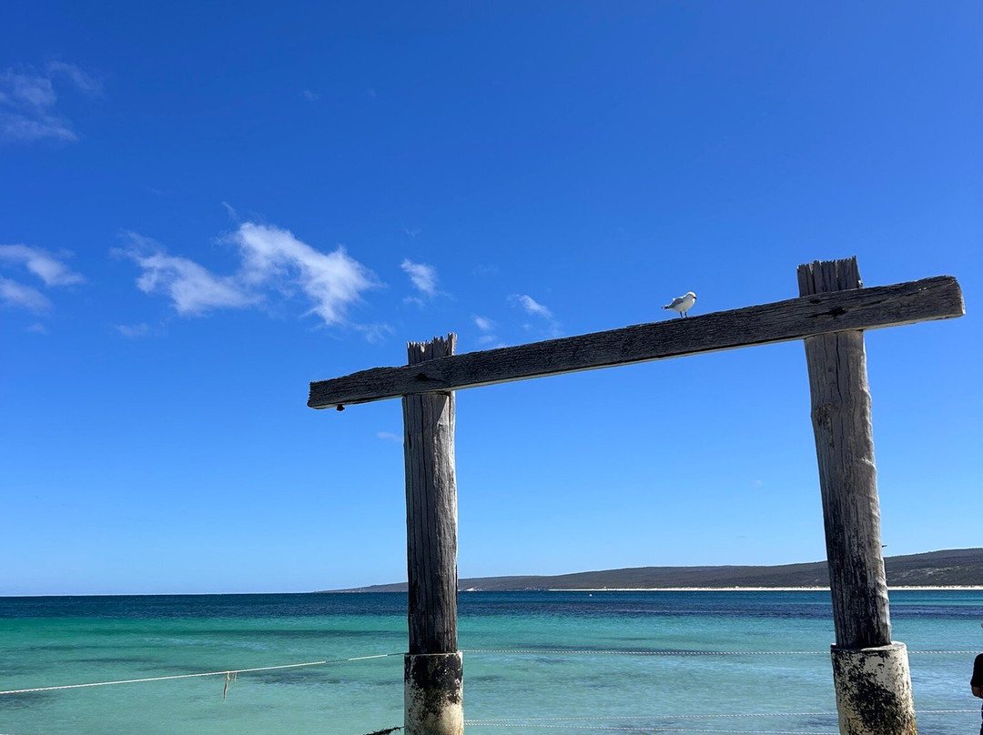 Hamelin Bay Jetty-Hamelin Bay必去景点