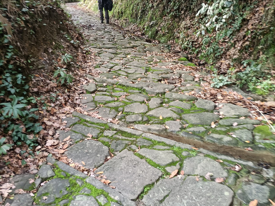 Via della Fiaba Pescia - Collodi-佩夏必去景点