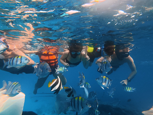 Pearlshine Tours-Gulhi Island必去景点