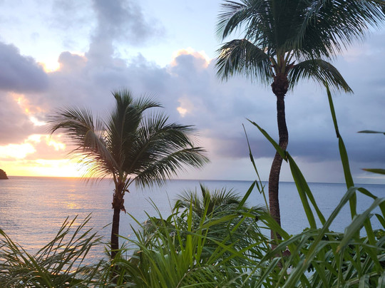 Bahia Principe Grand Samana主图