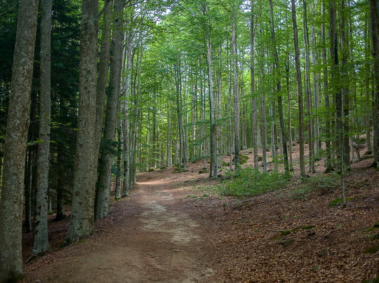 Monte Amiata-托斯卡纳必去景点