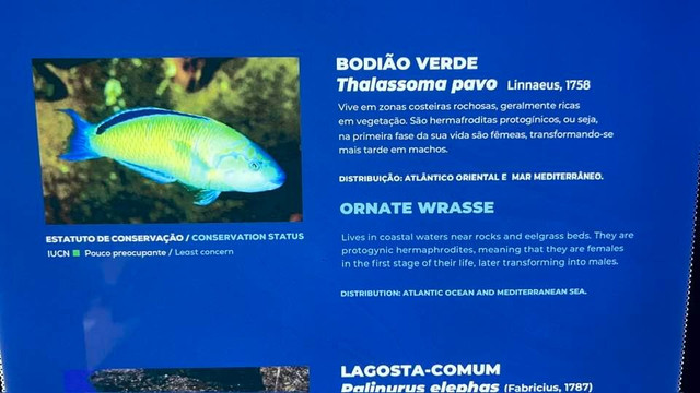 Aquário Vasco da Gama-Alges必去景点