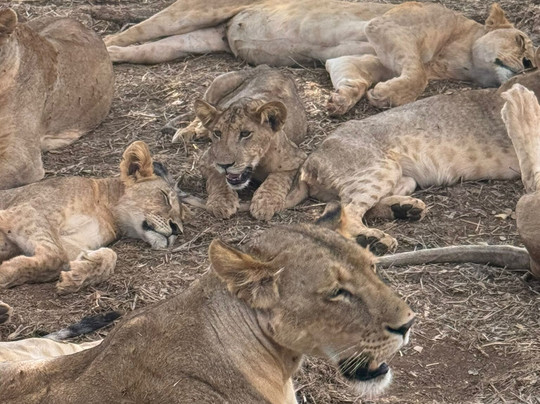 Richy Safaris Kenya-瓦塔木必去景点