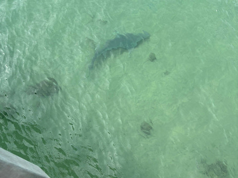 Amity Point Jetty-Amity必去景点