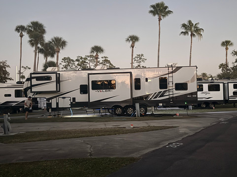 Encore Tropical Palms主图