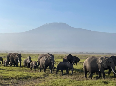 Earthwings Tours and Safaris-内罗毕必去景点