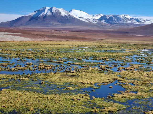 Explora en Atacama-官方