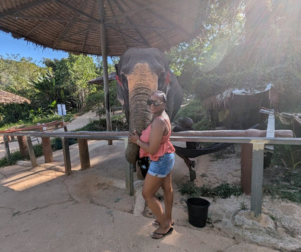 Phuket Elephant Care-奈通必去景点