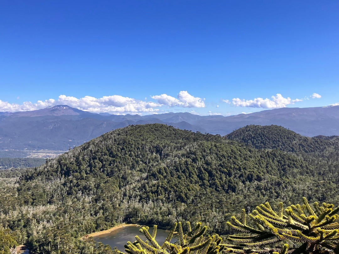 Santuario el Cañi-普孔必去景点
