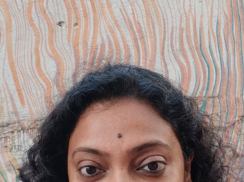 Gully Tours-班加罗尔必去景点