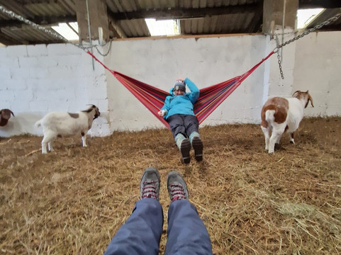 Cronkshaw Fold Farm-Rossendale必去景点