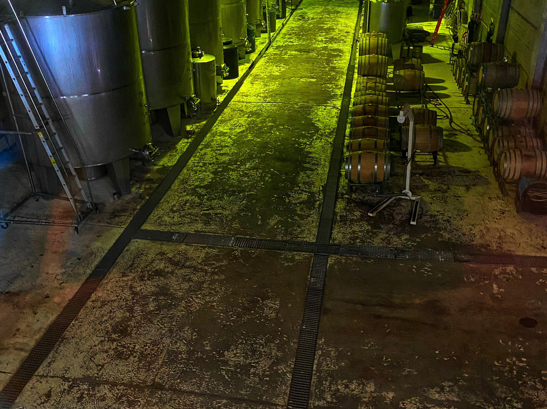 Dolium Winery-阿格雷洛必去景点