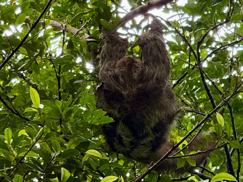 Alex On The Beach Tours-萨迪纳尔必去景点