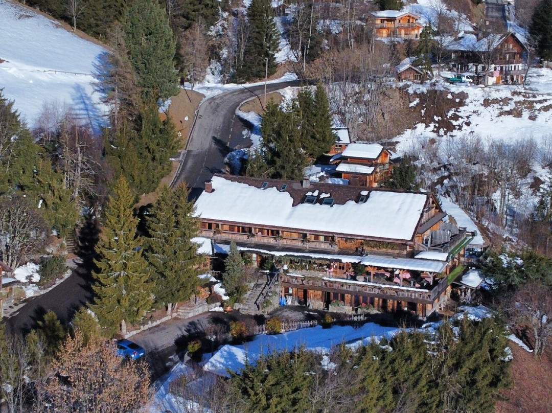 德拉克鲁瓦 - 弗莱莱斯小木屋酒店主图