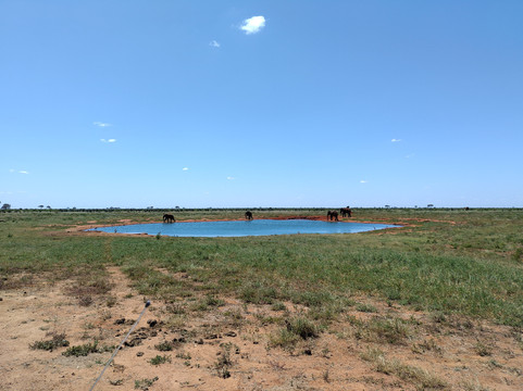 Tsavo East National Park